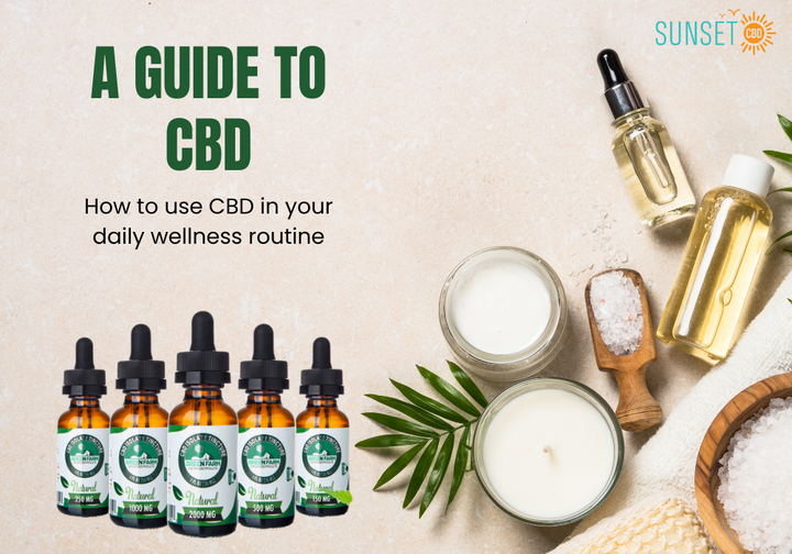 How to Use CBD in Your Daily Wellness Routine for Stress, Sleep and Recovery
