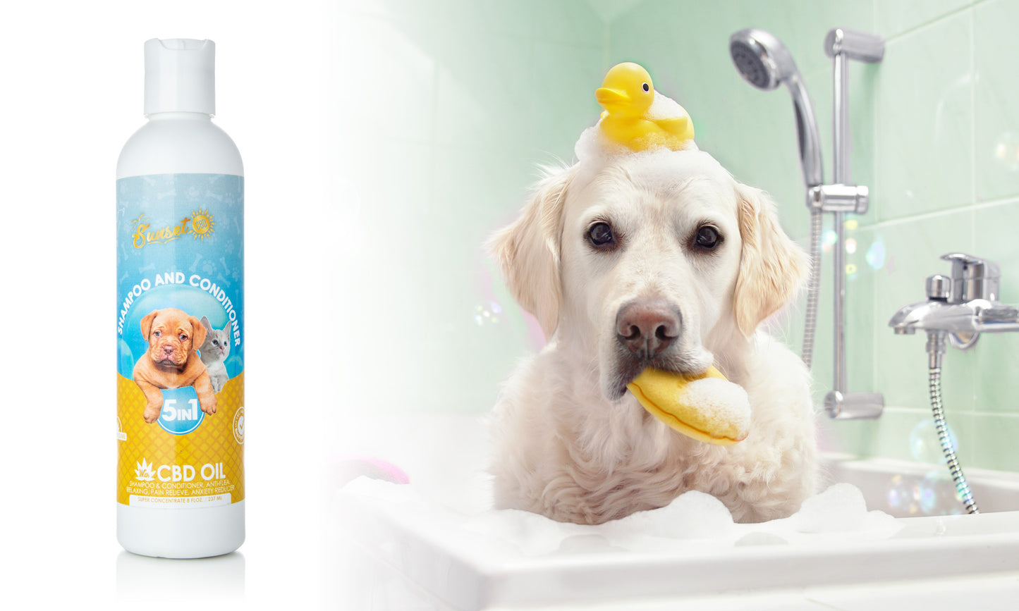 Sunset CBD Pet Shampoo & Conditioner