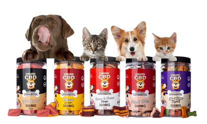 Kangaroo CBD Pet Treat Lineup Groupon Voucher Exclusive