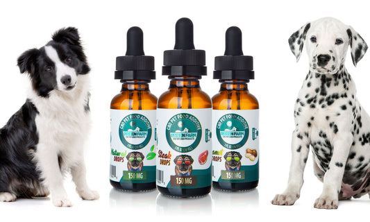 Green Farm CBD Oil Pet Tincture Assortment